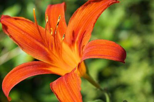 896446_2d625d500.jpg
