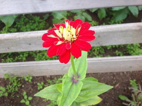 "  徐豪元说,2010年春节前后,张某打电话祝贺他调任天津消防总队,他让