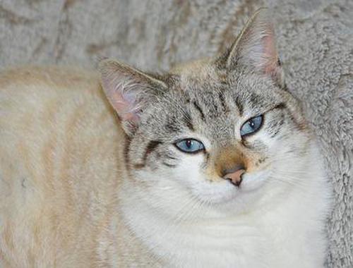 百丽宫国际网址