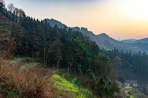 陆天龙豪气万丈想要帮着青衣了却心愿,站在前方那巨大的黑猿却很不屑