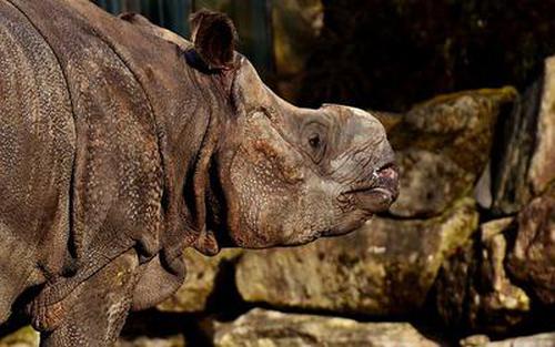 说起来,节愍太子妃的运气比杨氏还要差,因为她的太子就